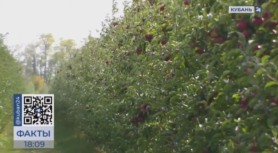    ..               . ¸   ,    ,   ...