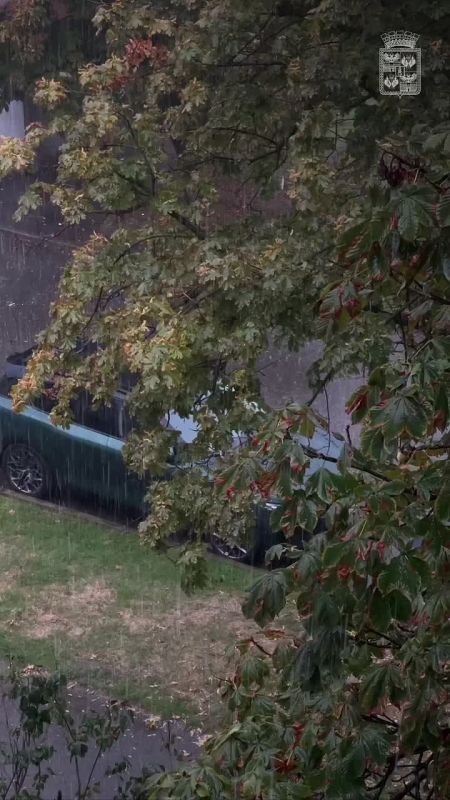  !. 9-11          ,        20-25 /