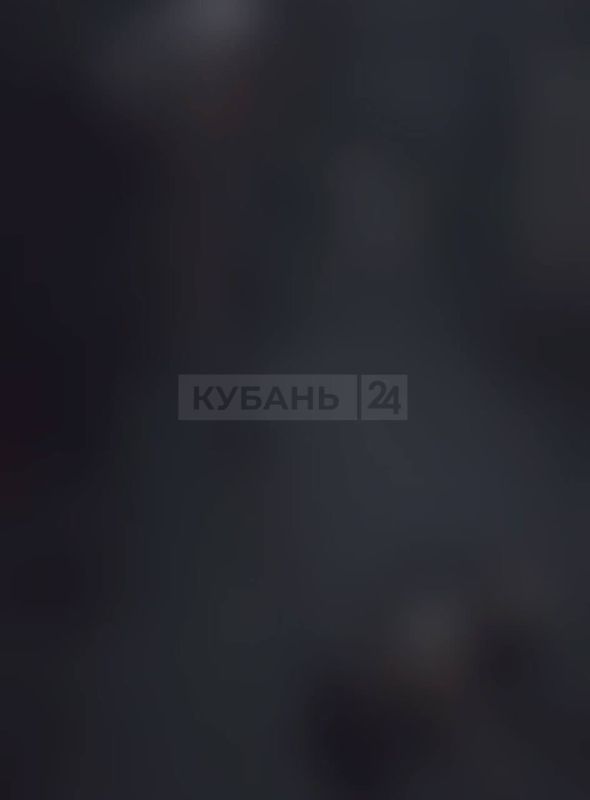 Мужчина жестоко убил собаку в Динском районе — полиция проверяет информацию