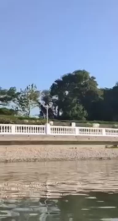 Сёрега советует взять зонт!