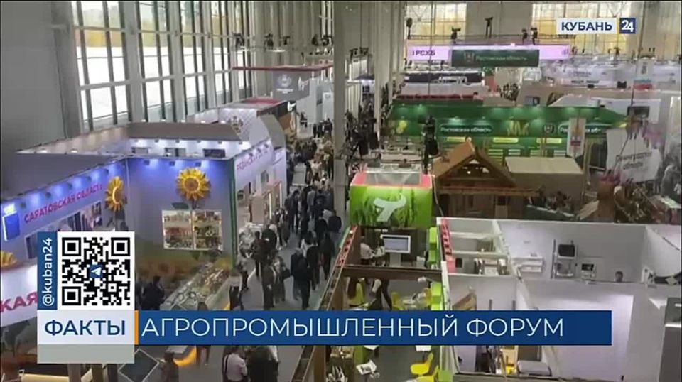 Второй день межрегиональной выставки «Золотая осень» проходит в Москве
