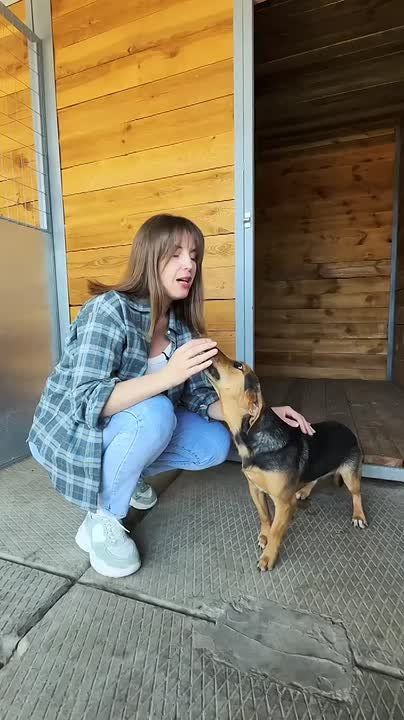 От окопа до приюта. Этот пёс повидал многое