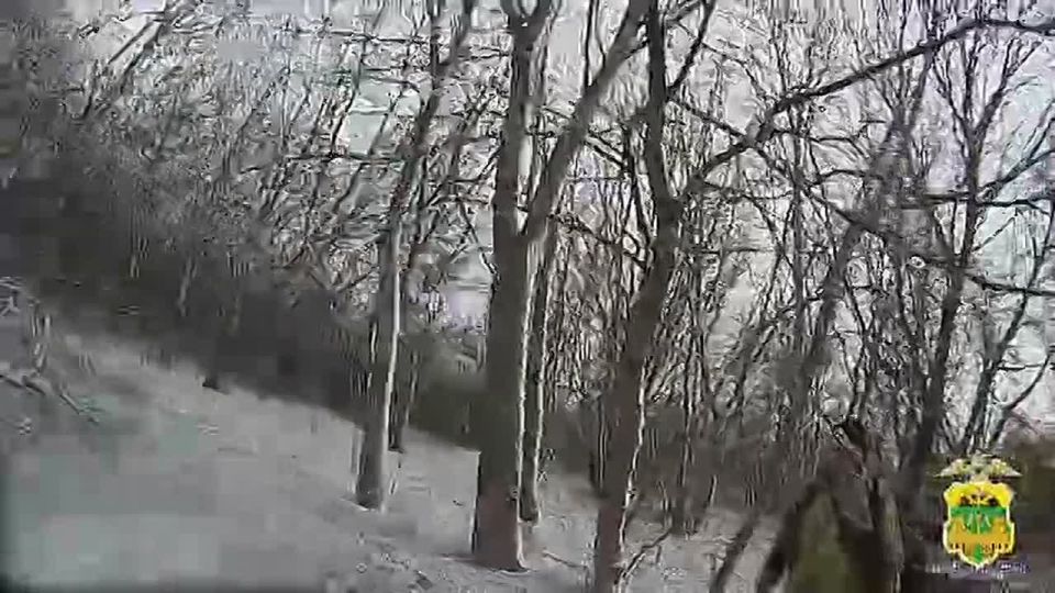 Помогли вернуться домой заблудившейся в лесу семейной паре полицейские в Усть-Лабинске