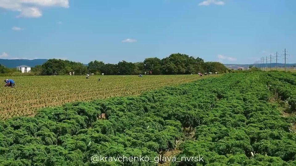  : ,         ,       !