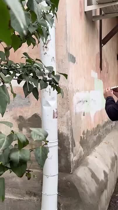 Уличный художник украсил Краснодар мозаикой