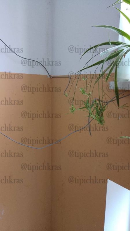     270   1    : -      ,   