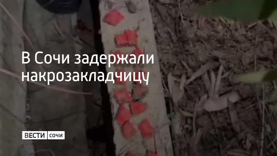 Сочинку задержали по подозрению в незаконном обороте наркотиков