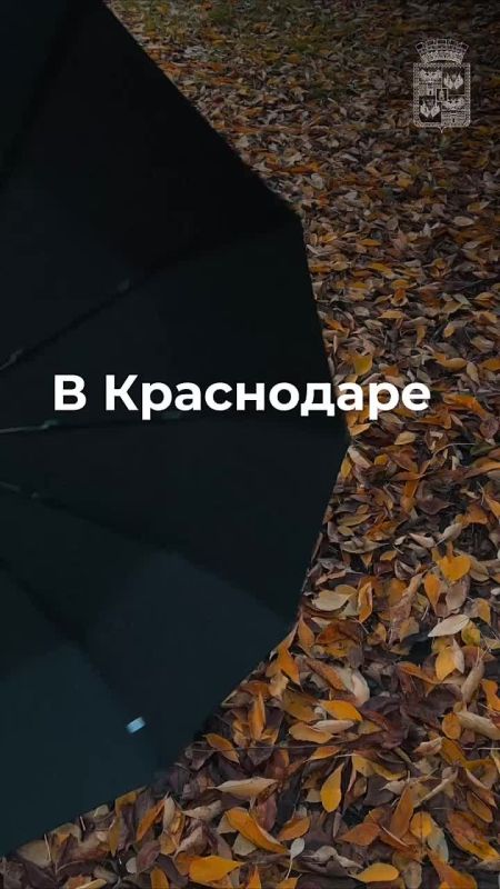 Местами в городе идёт дождь