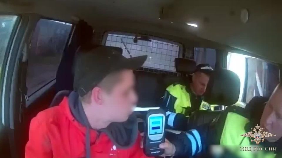 В Вологодской области полицейская погоня была остановлена метким броском полена