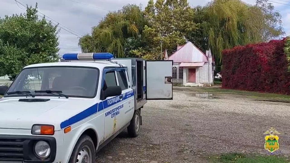 Итоги ОПМ «Правопорядок» на этих выходных: раскрыто 85 преступлений, найдено 6 без вести пропавших