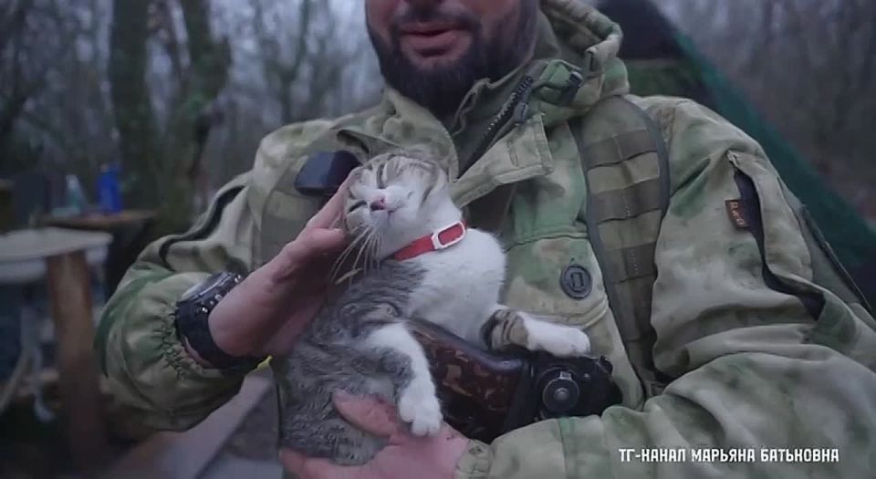 Марьяна Наумова: Я ПРИШЁЛ НА ПОМОЩЬ СТРАНЕ И ПРЕЗИДЕНТУ: