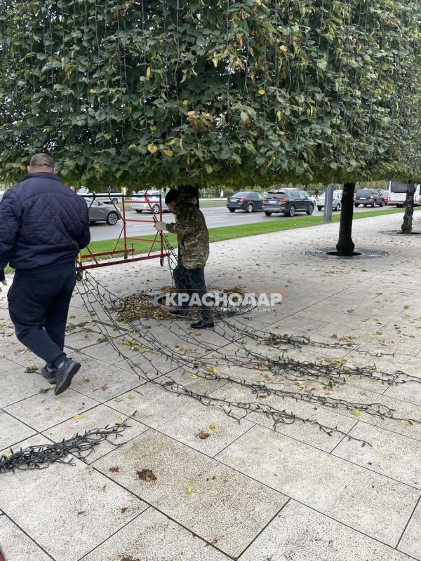 Парк Галицкого начали украшать иллюминацией
