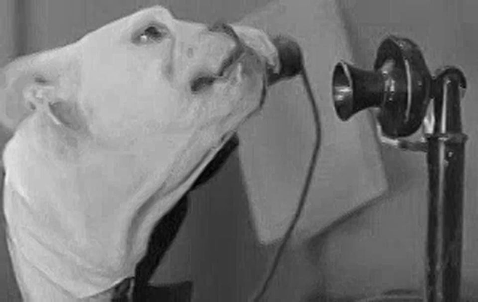 - &quot;!?  ,   !&quot;    4,3  ,       