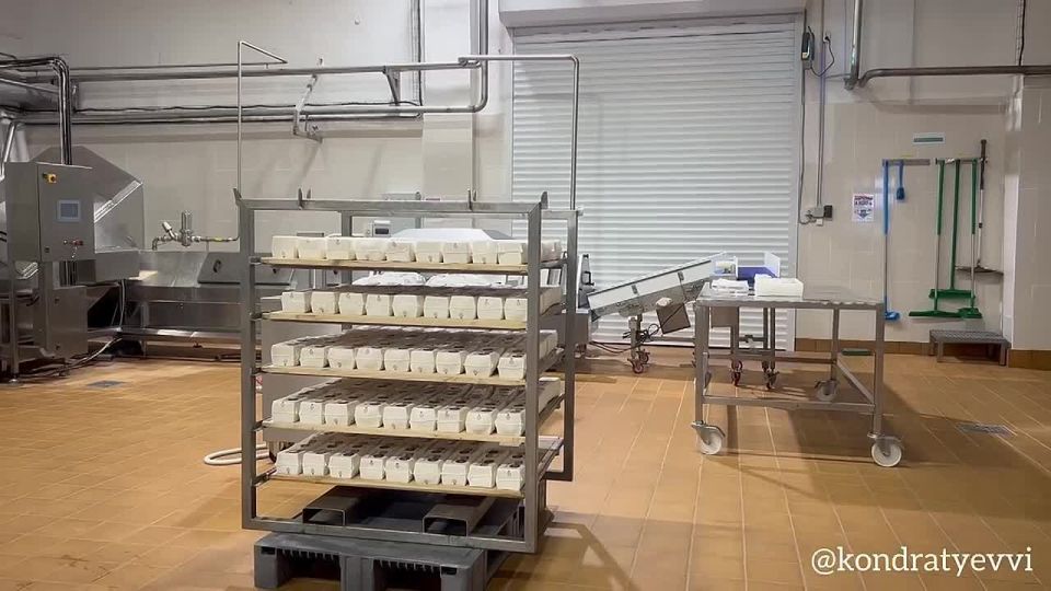 Вениамин Кондратьев: Начал рабочую поездку в Староминский район с посещения завода «Сыродел»