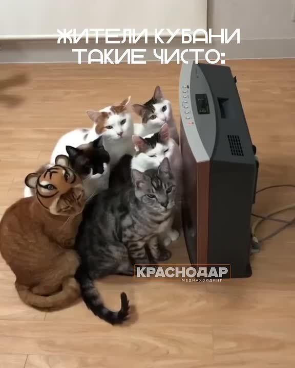 На Кубани зафиксированы первые признаки приближающейся зимы