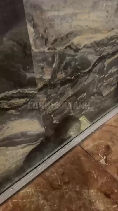 В центре Сочи разгорелся скандал