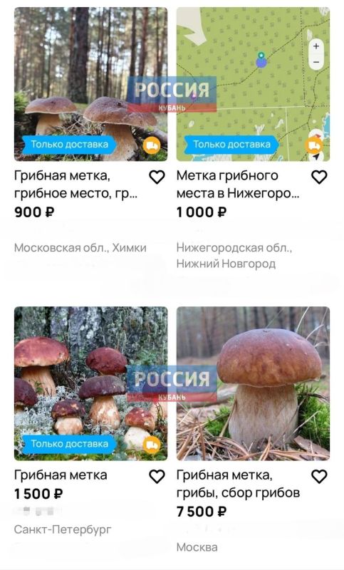 Тихая охота — ВСЁ?. Если вы забыли, где растут опята — не беда! Теперь «грибные знатоки» с радостью продадут вам эту информацию