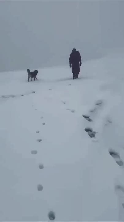  ?       -,   2320     52 