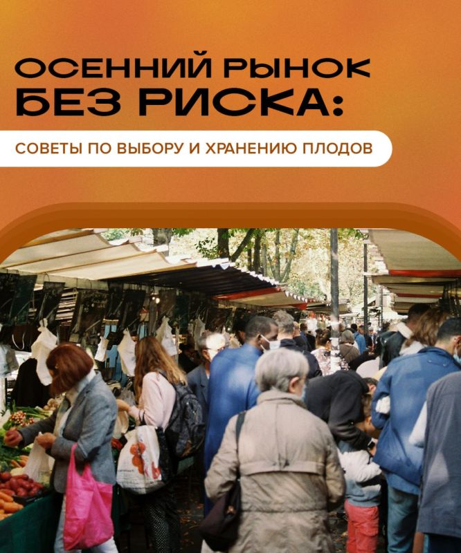Осенний рынок без риска: советы по выбору и хранению плодов