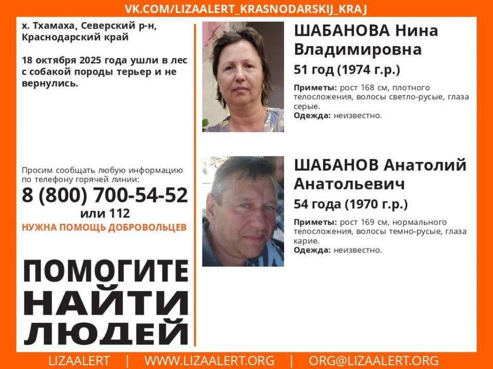 Супруги пропали в лесу: их ищут уже несколько дней