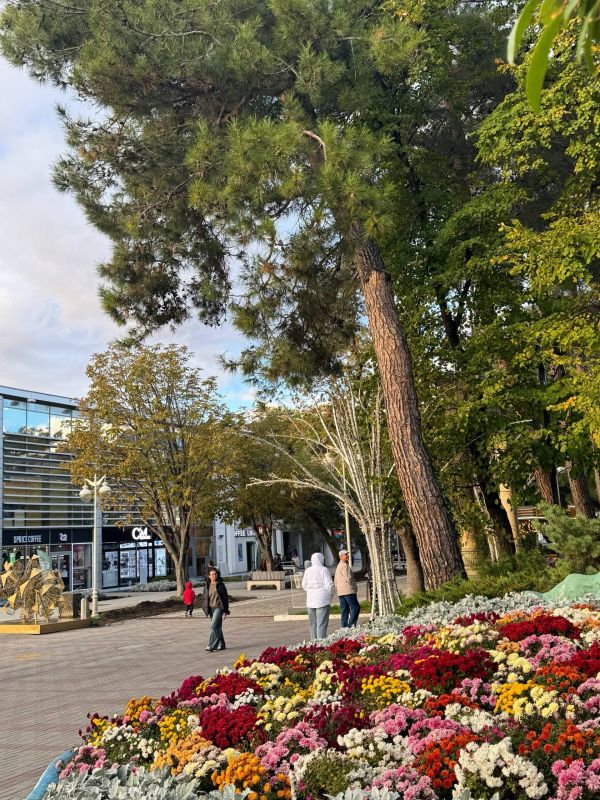 Алексей Богодистов: В эти дни полным ходом идут осенние посадки