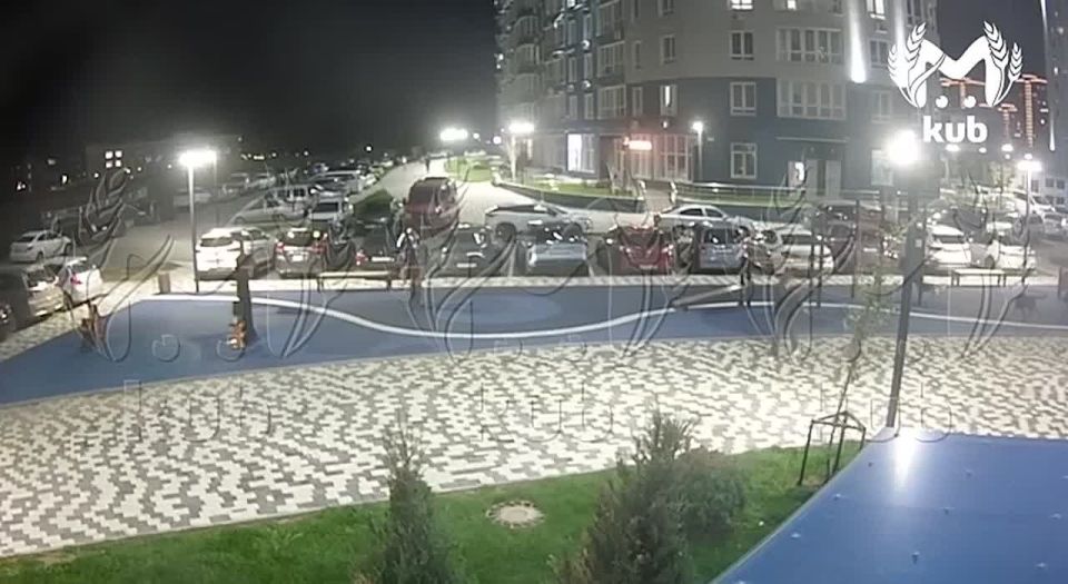 Бродячие псы напали на девочку с собачкой в Краснодаре