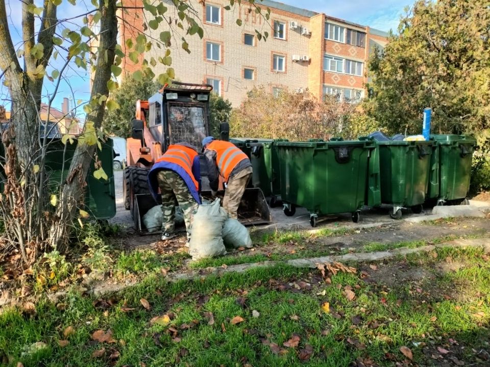Рубрика «Ейск сегодня. Дела житейские»