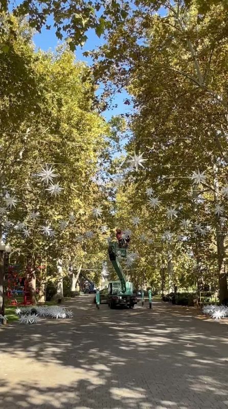 Красота на Красной. На Александровском бульваре в Краснодаре приступили к установке праздничных украшений от Галицкого