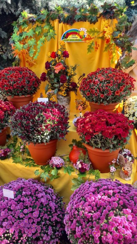 17 октября 2025 года делегация из педагогов и обучающихся эколого-биологического центра города Ейска приняла участие в ежегодном мероприятии - краевом смотре-конкурсе «Агрофестиваль — будущее своими руками» в номинации...