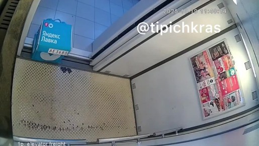 Не выдержал. Двери лифта в одной из краснодарских многоэтажек на проспекте писателя Знаменского заклинило, после одной небольшой доставки