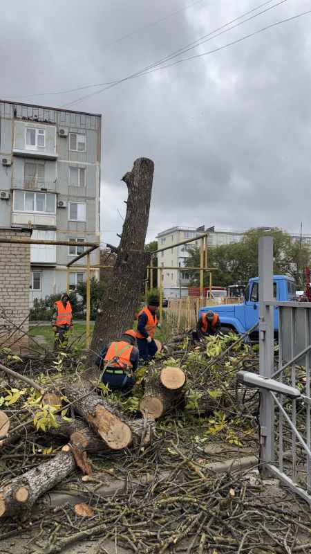 Спил сухих аварийных деревьев по ул. Первомайской, 202 и ул. Октябрьской, 193