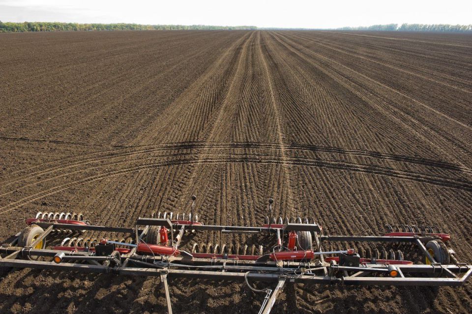 Вениамин Кондратьев: Кубанские аграрии уже засеяли озимыми культурами больше 833 тысяч гектаров
