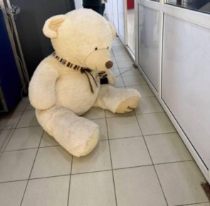 Таможенники в Сочи пресекли контрабанду 250 пачек сигарет, 150 из которых были спрятаны в плюшевом медведе