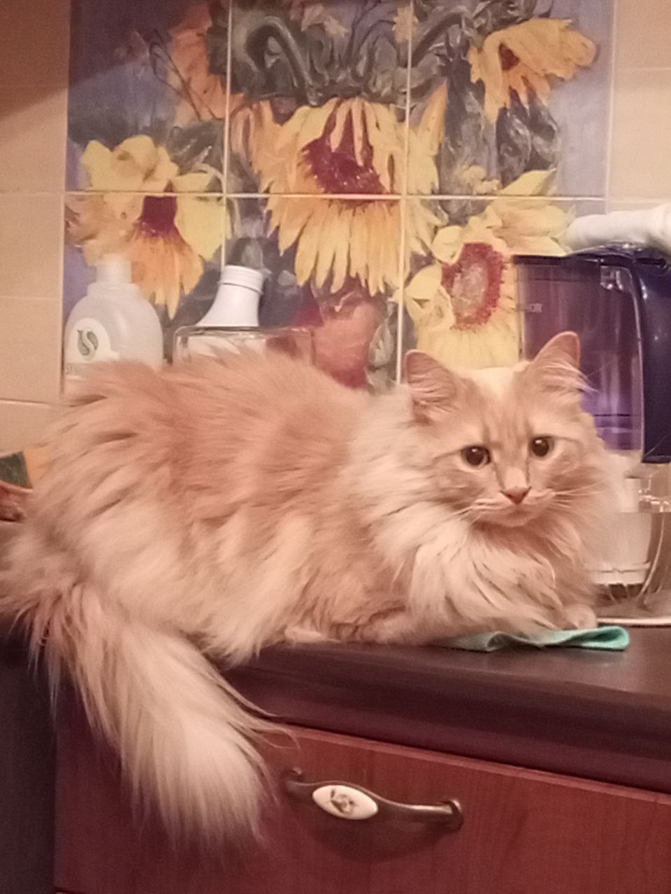 Доброе утро, Кубань!. Краснодар +17 °С Доброе утро, Кубань!. Краснодар +17 °С