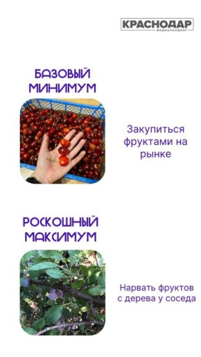 Базовый минимум или роскошный максимум?