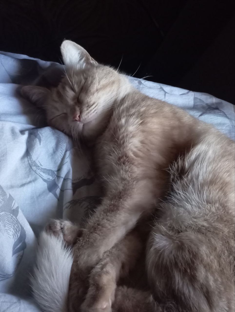 Доброе утро, Кубань!. Краснодар +17 °С Доброе утро, Кубань!. Краснодар +17 °С