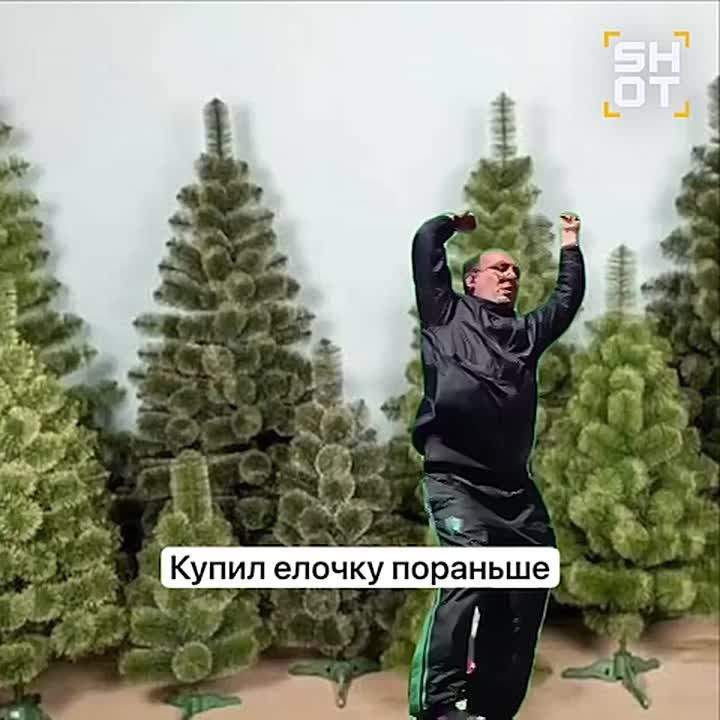 Прагматичные россияне уже начали готовиться к Новому году и закупать искусственные ёлочки