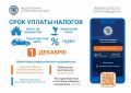 1 декабря - срок уплаты налогов