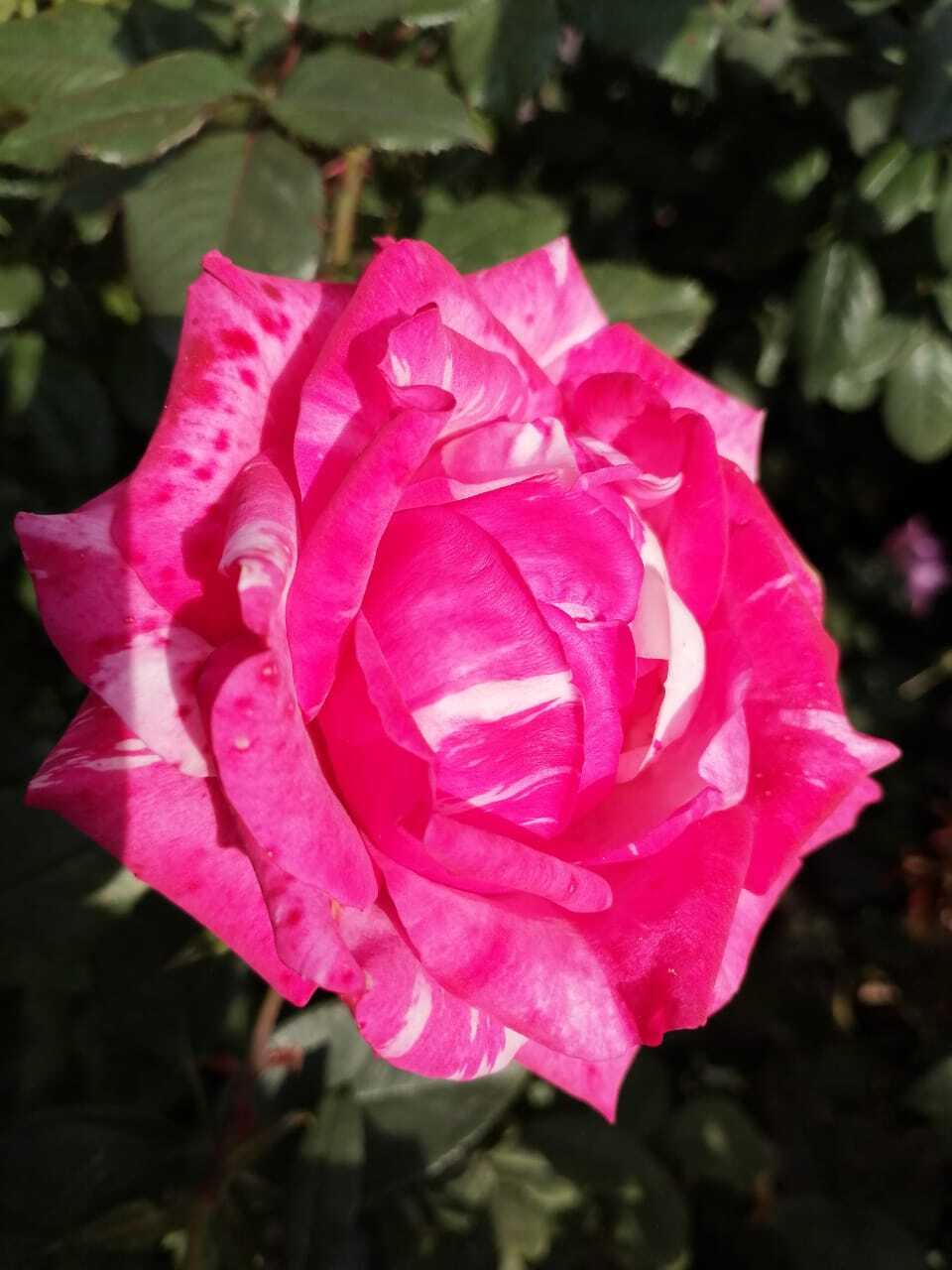 Доброе утро! На календаре 22 октября, среда