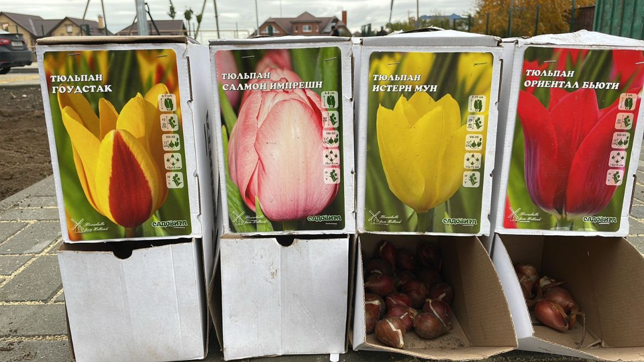 Отличная новость для всех любителей спорта и жителей с. Александровки! Здесь завершено благоустройство территории вокруг нового спортивного зала Отличная новость для всех любителей спорта и жителей с. Александровки! Здесь завершено благоустройство территории вокруг нового спортивного зала