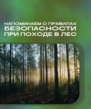 Как правильно вести себя при походе в лес