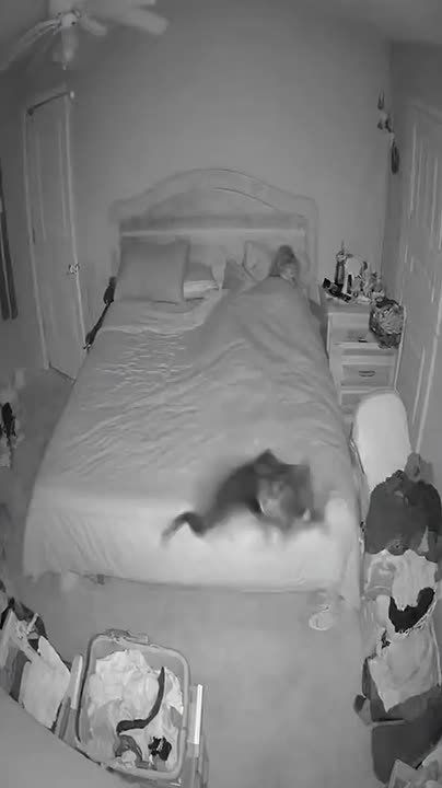 Врываемся в среду