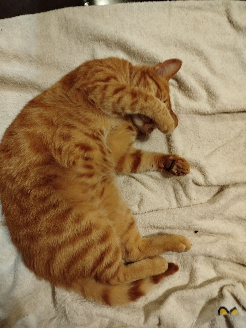 Доброе утро, Кубань!. Краснодар +17 °С Доброе утро, Кубань!. Краснодар +17 °С