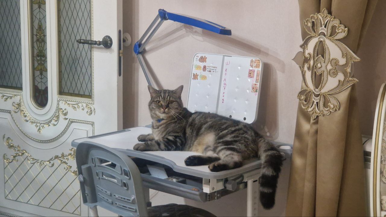 Доброе утро, Кубань!. Краснодар +17 °С Доброе утро, Кубань!. Краснодар +17 °С