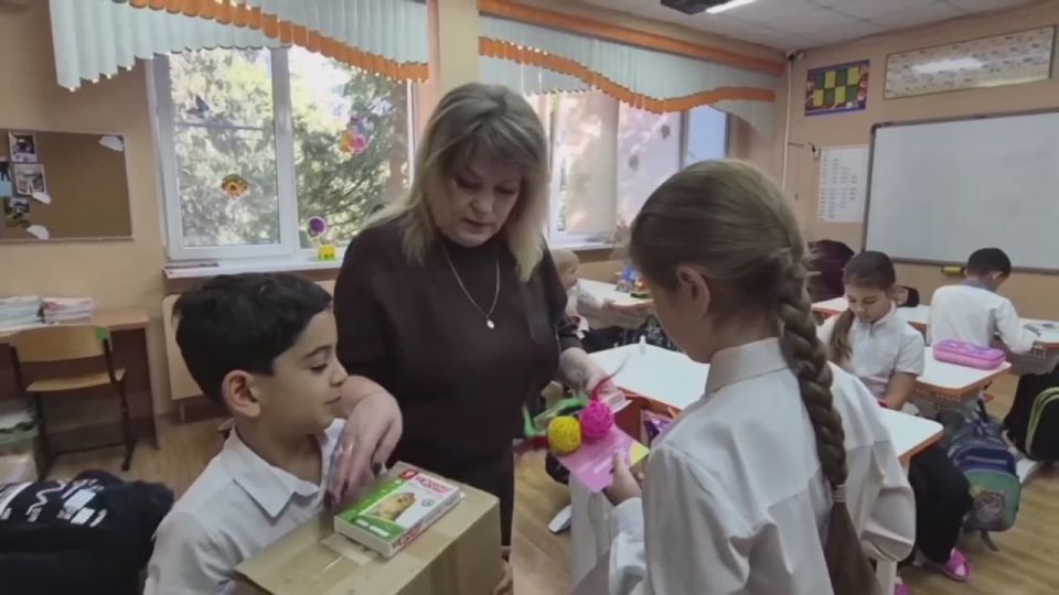 В краснодарской школе провели благотворительную акцию для приюта «Кошкин дом»