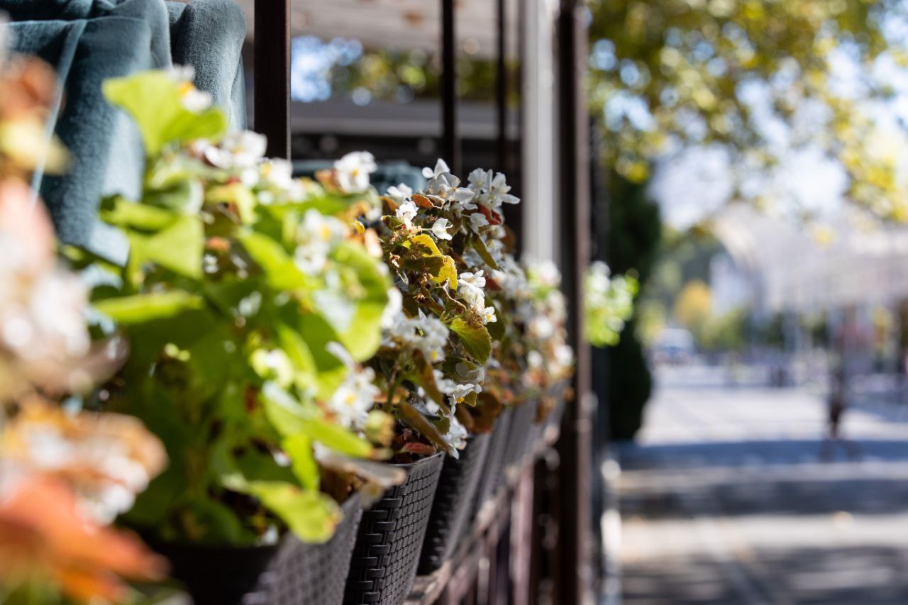 Ясный мой цвет…. Все времена года в Анапе хороши, но осень прекрасна особенно