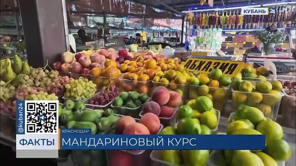 До 350 рублей за килограмм доросли цены на мандарины этой осенью в Краснодаре