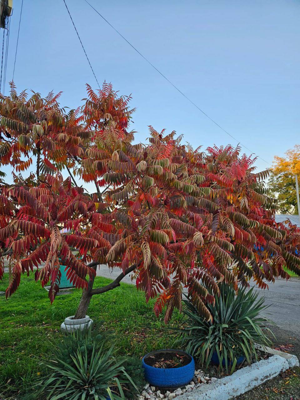 О погоде на 23 октября. В Краснодарском крае переменная облачность О погоде на 23 октября. В Краснодарском крае переменная облачность