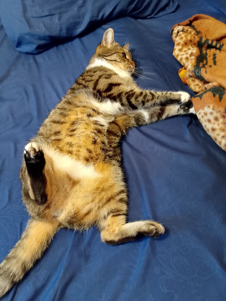 Доброе утро, Кубань!. Краснодар +17 °С Доброе утро, Кубань!. Краснодар +17 °С