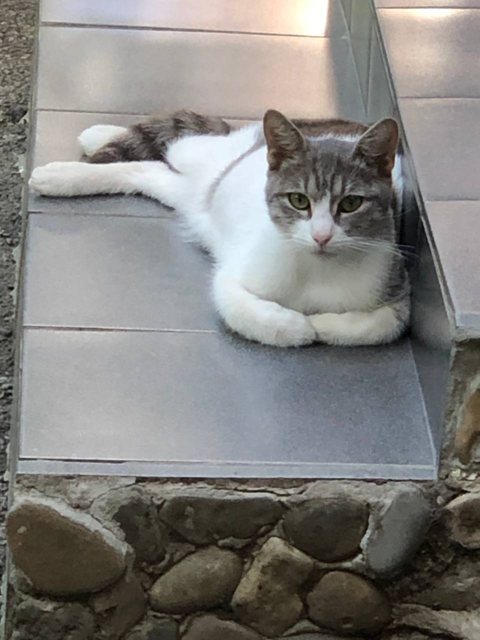 Доброе утро, Кубань!. Краснодар +17 °С Доброе утро, Кубань!. Краснодар +17 °С